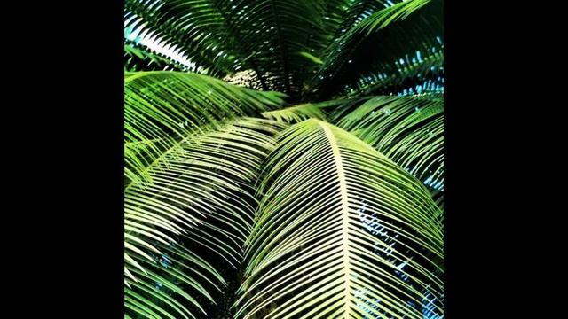 Сверхпростые ниши для бизнеса с нуля смотреть онлайн