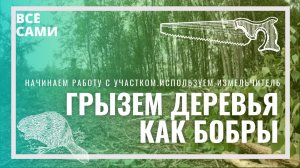 Дача своими руками. Начинаем очищать участок.  Испытываем измельчитель | ВСЁ САМИ