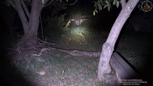 Мощный фонарь: Convoy 4X18A - 4300 люмен. 50-60$