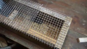 Мышеловка своими руками