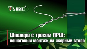 Шпалера с тросом ПРШ: Пошаговый монтаж на якорный столб