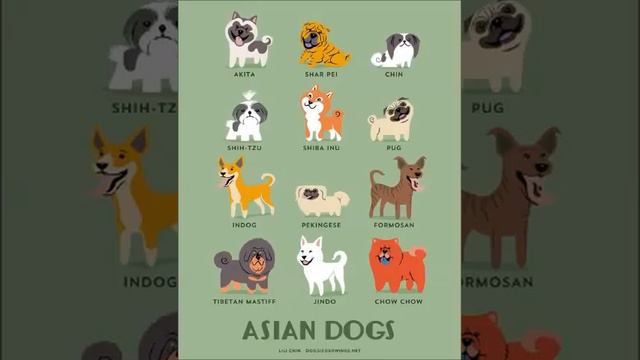 Собаки мира в иллюстрациях смотреть онлайн