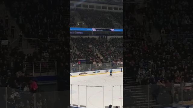 Поднимаем руки всем стадионом #хоккей #динамоминск #минск #спорт #беларусь #арена #динамо #плейофф смотреть онлайн