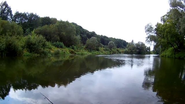 Окунь атакует.Он спасает от нуля!!! смотреть онлайн