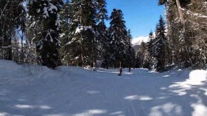 Домбай 2020, Лесная трасса, спуск на горных лыжах с 3 уровня до посёлка
