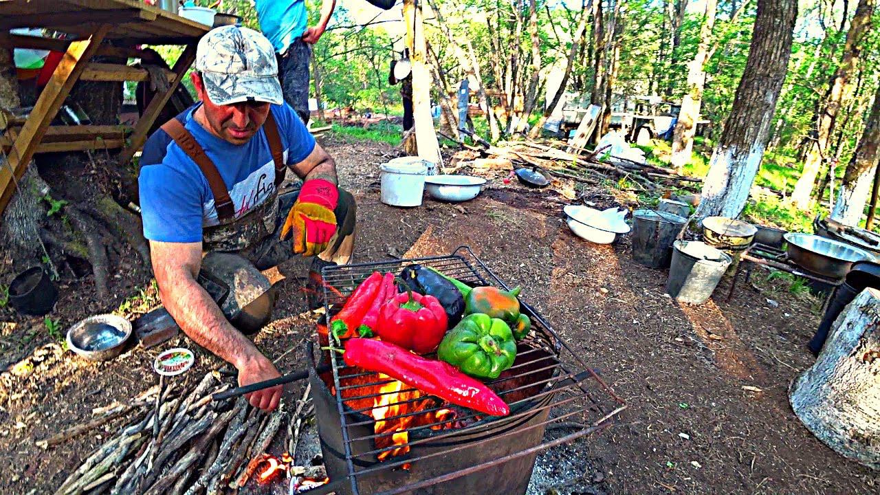 ПЕРВЫЙ РОЙ НА НАШЕЙ ПАСЕКЕ В ТАЙГЕ. И ПЕРВЫЕ ГОСТИ. смотреть онлайн
