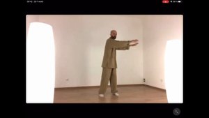 Цигун.Большой небесный круг, 12 меридианов.