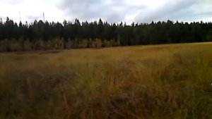 По болоту. Мотобуксировщик Мужик.