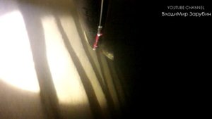 Подводная охота в Финском заливе, в Лен области