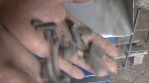 Гранулятор кормов