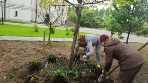 Чем в саду задекорировать  приствольные круги деревьев?