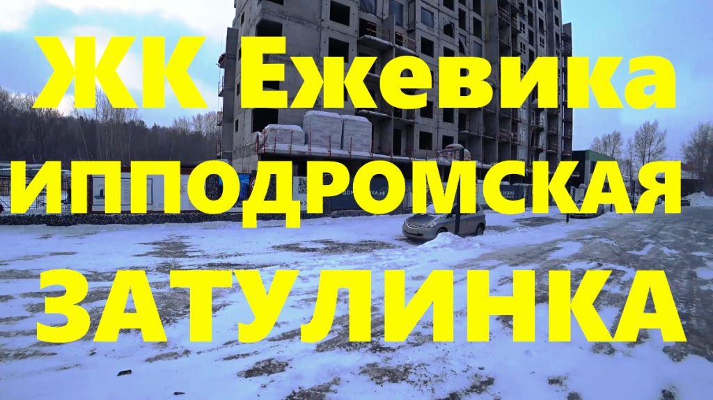Золотая Нива Богдашка ЖК Ежевика Объединения Затулинка Немировича Ипподромская Сибирь Новосибирск