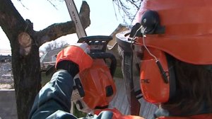 Бензопила Stihl MS 181 C