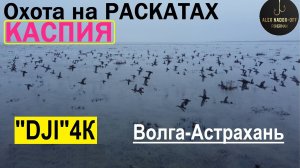 Волга!! ОХОТА на Утку с дроном "DJI"-4К на Раскатах Каспия! Качество -АГОНЬ!!! Волга - Астрахань!!!