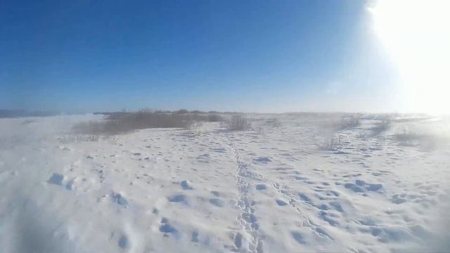 охота на зайца(10-70) 30.01.2021 смотреть онлайн