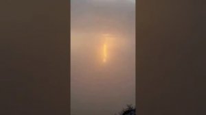 Явилась Богородица !