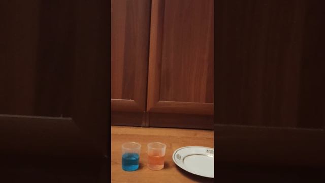 Опыт "Холодно-горячий светофор" / Лисёнок 444/