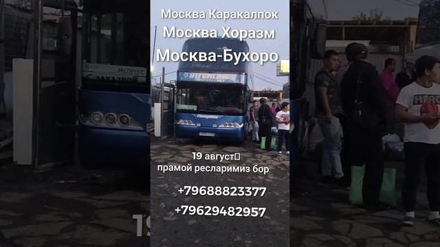 москва-ташкент москва-бухара прямой рейс автобус