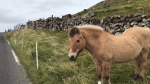 Streymoy Faroe Islands #streymoy #faroeislands