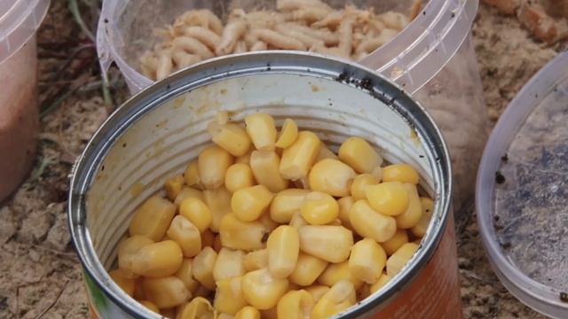 С фидером на малой реке : На рыбалку с Нормундом #27 смотреть онлайн