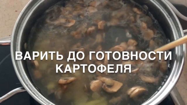 ГРИБНОЙ КРЕМ-СУП ДЛЯ ДЕТЕЙ. Нежный суп-пюре из шампиньонов со сливочным сыром. Mushroom cream soup