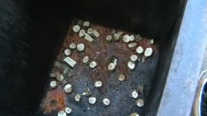 Рыба горячего копчения за 20 минут Салака