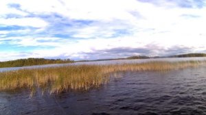 Тихая TsuYoki  Draga 130SP