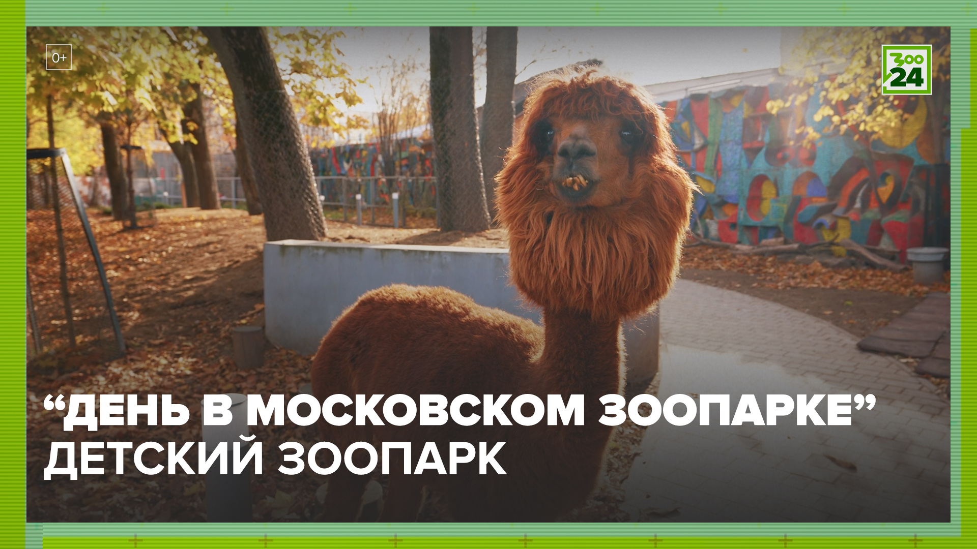 Детский зоопарк | Московский зоопарк | ЗОО 24