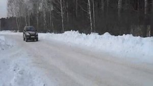 Вортекс Тинго