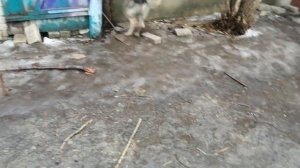 Запрыгали до смерти _ Встреча после долгой разлуки.