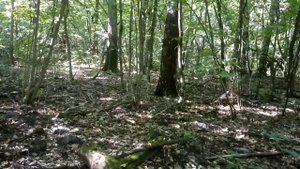 Поехавший страйкбол. Военные мучения