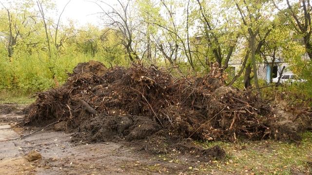 Глава города оценил строительство скейт-парка на Свердлова.