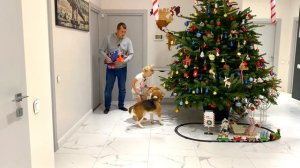 ШЕРЛОК ЗЛОЙ САНТА ПРОТИВ ДОБРОГО. БРОС ШОУ ПЕТ