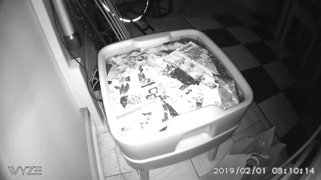 Worms living on the edge смотреть онлайн