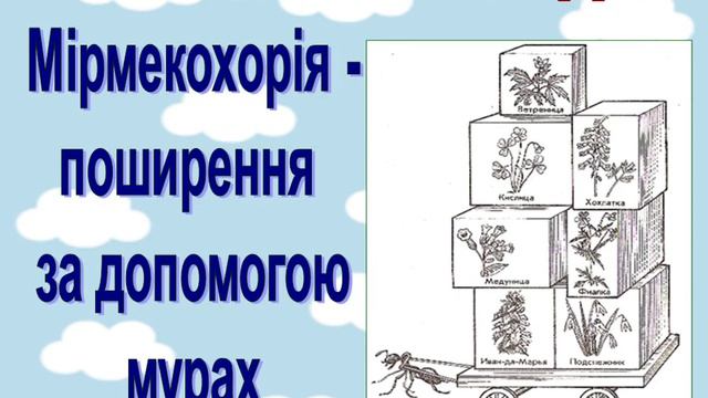 Поширення плодів та насіння у природі смотреть онлайн