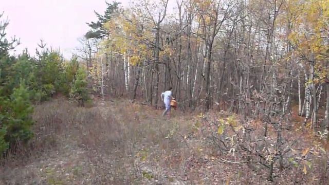 грибной человек смотреть онлайн