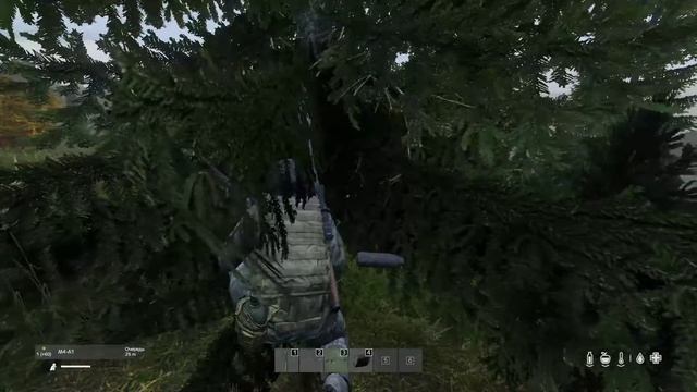 Выжить любой ценой в DayZ смотреть онлайн