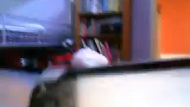 ben 10 alien force the game psp A change in the weather level смотреть онлайн