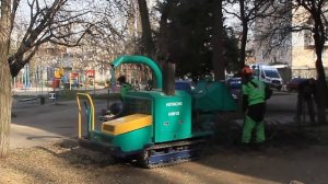 Переработка веток сухостоя в щепу