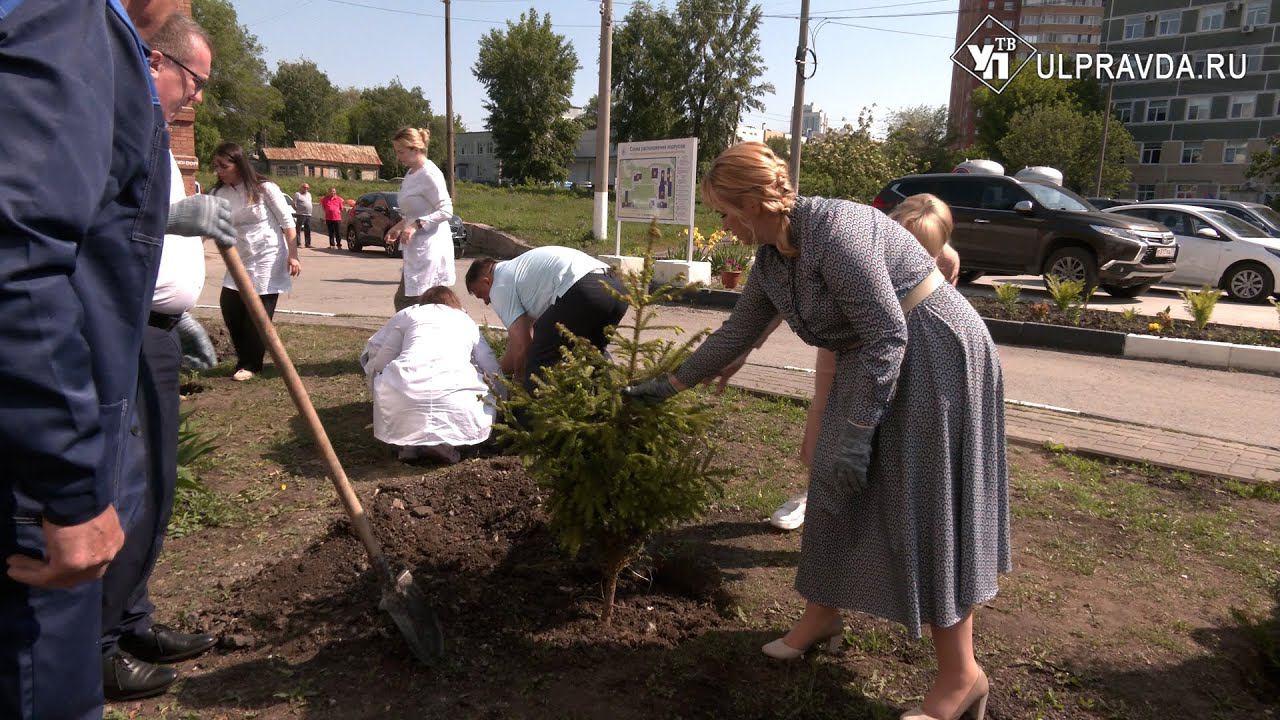 В Ульяновске появилась аллея в честь проекта «Онкопатруль»