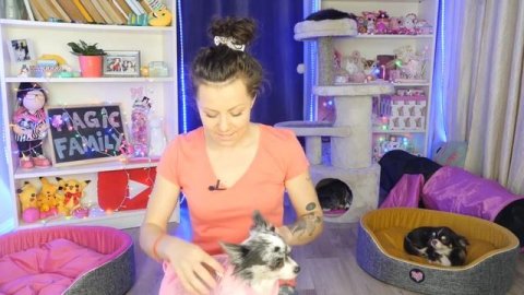 Топовые товары для собак и кошек Безумные находки на Алиэкспресс@Magic_Family