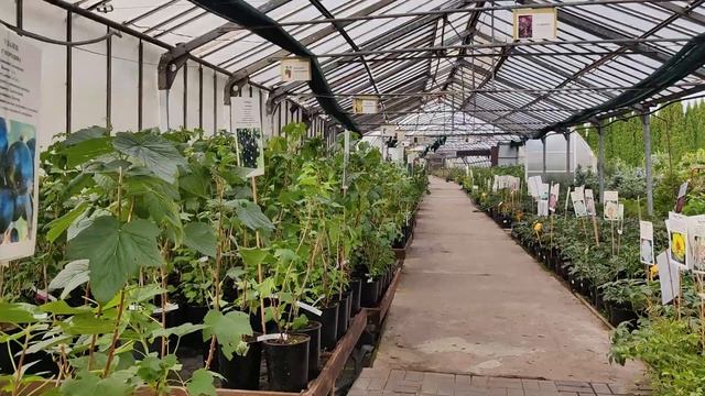 Садовый центр в Никитском. Скидки от 20% до 30%