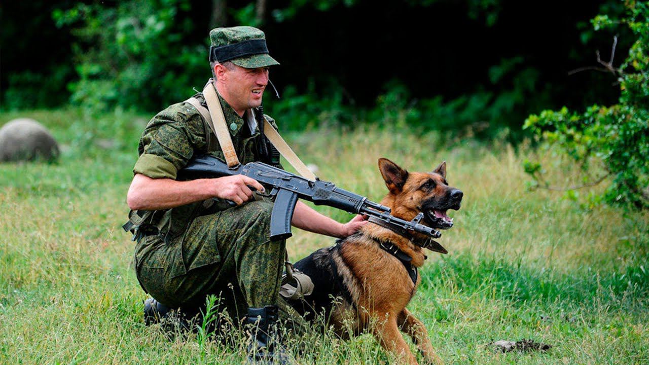 Фото пограничника с собакой