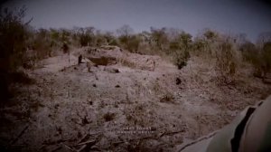 «Группа Вагнера» продолжает свою работу в Африке