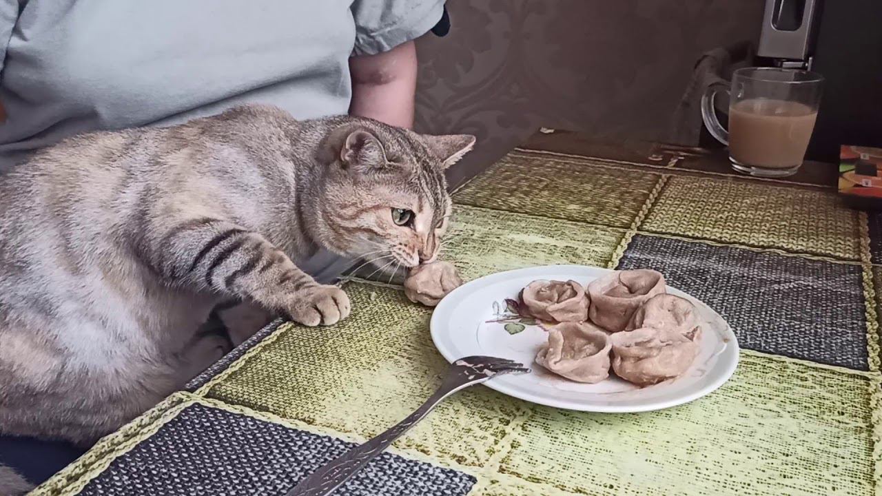 27 июня 2020 г. смотреть онлайн