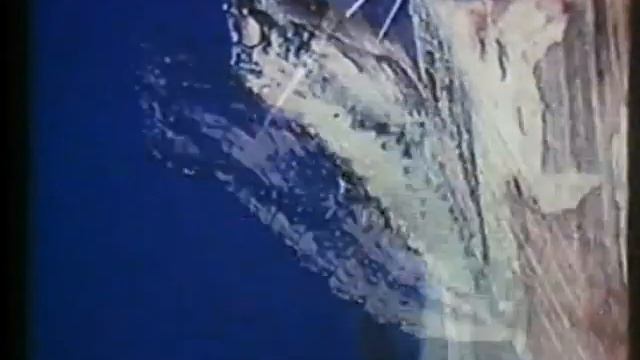 ПРИРОДА О БОГЕ. НАСЕКОМЫЕ. (Архив СГК-441\3 2007 г.) смотреть онлайн