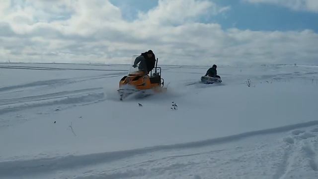 Буран и плюшка смотреть онлайн