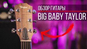 ОБЗОР АКУСТИЧЕСКОЙ ГИТАРЫ - Big Baby TAYLOR // BBT