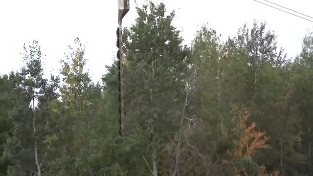 Расчистка просеки ЛЭП вертолетом???