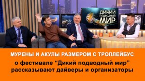 Фестиваль "Дикий подводный мир" начался в Ярославле. Что там интересного?